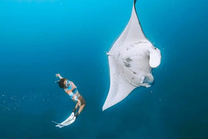 Manta Point Snorkeling & West Nusa Penida Island Day Tour - Key points to know before you book