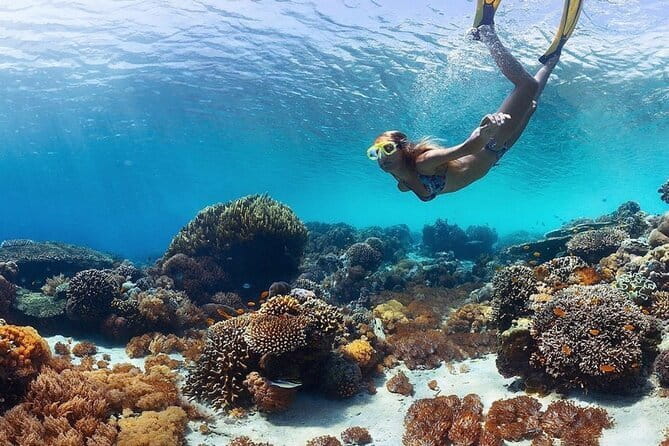 Manta Point Snorkeling & West Nusa Penida Island Day Tour - What the $45.87 price really gets you