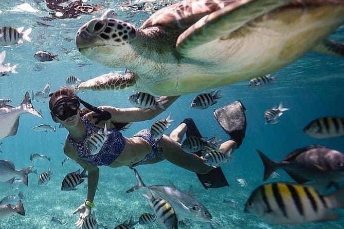 Manta Point Snorkeling & West Nusa Penida Island Day Tour - Kelingking Beach and the famous cliff view