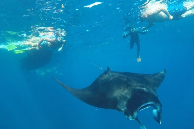 Manta Point Snorkeling & West Nusa Penida Island Day Tour - The guides are a major part of the experience
