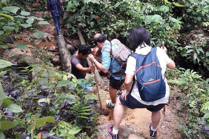 Medan - Bukit Lawang Fullday Tour - What the five-hour hike feels like