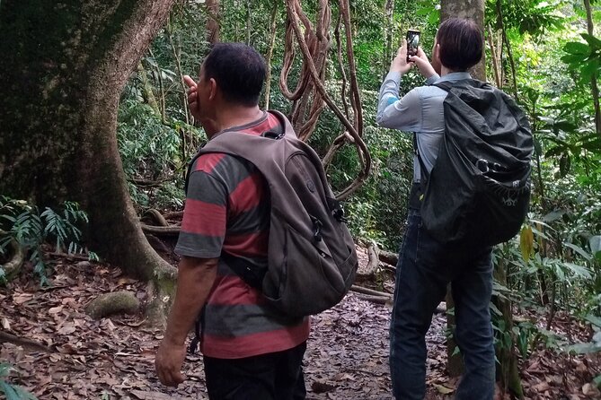 Medan - Bukit Lawang Fullday Tour - The two short plantation stops