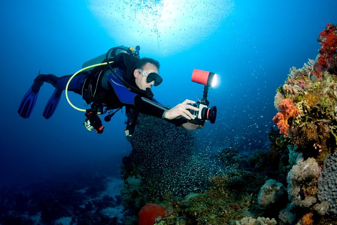 Menjangan island for Certified Scuba Divers full day boat trip, 2 dives + lunch - Safety, instruction, and the people guiding you