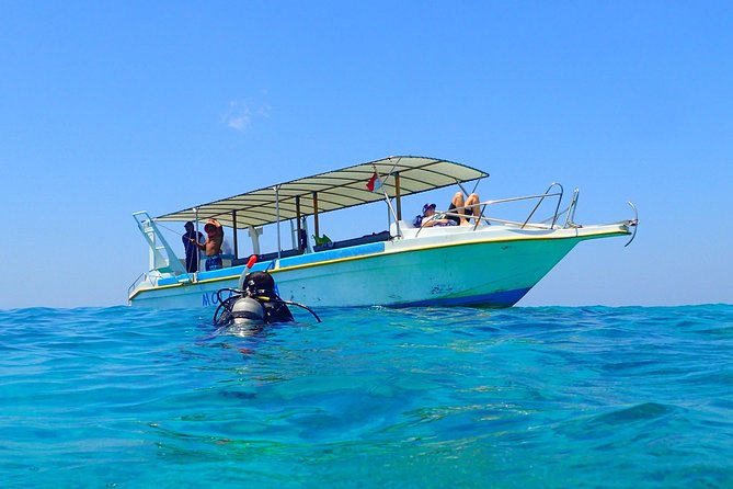 Menjangan island for Certified Scuba Divers full day boat trip, 2 dives + lunch - The first underwater session around Menjangan