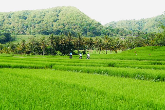 Menoreh Village Cycling - Leaving Yogyakarta for Nanggulan