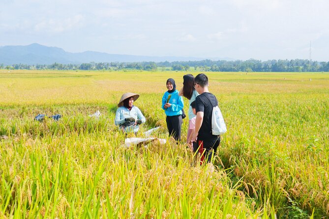 Menoreh Village Cycling - Sampling Tempe Benguk, Fried Tofu, and Jamu