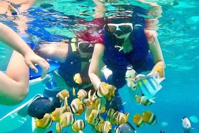 Monkey Bar and snorkling adventure at blue lagoon. - Why this Seminyak day trip works
