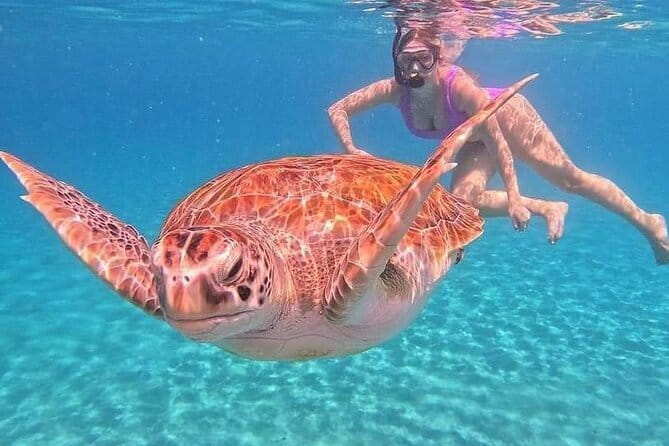 Monkey Bar and snorkling adventure at blue lagoon. - Two hours around Blue Lagoon coral