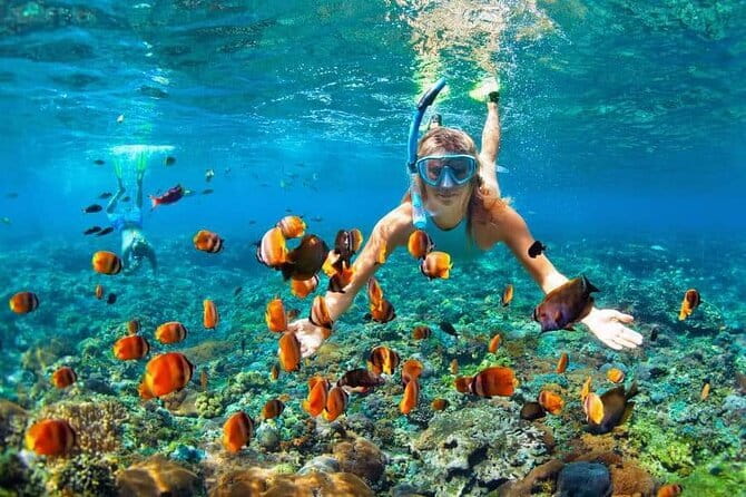 Monkey Bar and snorkling adventure at blue lagoon. - Practical advice before you book