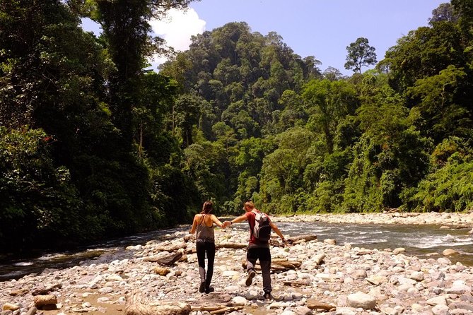 Monkey Business 3 days - 2 nights Jungle trekking (including rafting) - Day three: river time, swimming, and rafting