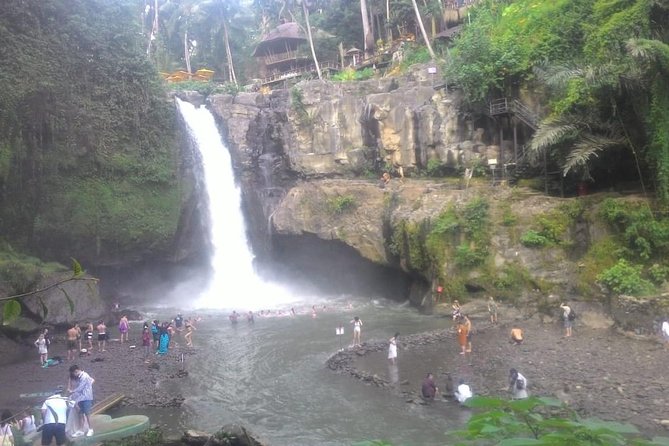 Monkey Forest, Ubud, Waterfall and Rice Terrace - Tegallalang Rice Terrace and a valley lunch