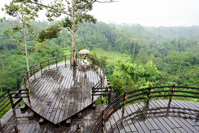 Monkey Forest, Ubud, Waterfall and Rice Terrace - Celuk Village and Balinese metalwork