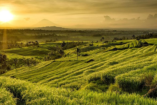 More Complete: Discover Bali In 3 Days Private Tour Package - Day three: East Bali’s water palace and the Gates of Heaven