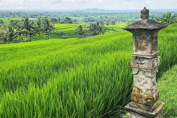 More Complete: Discover Bali In 3 Days Private Tour Package - The driver-guide can shape the whole experience