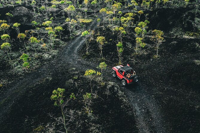 Mount Batur 4WD Jeep, Breakfast and Hot Spring All Inclusive - The early pickup and road to Mount Batur