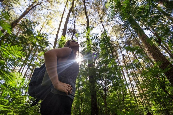 Mount Batur Sunrise Hike with Breakfast - What the $30 price really includes
