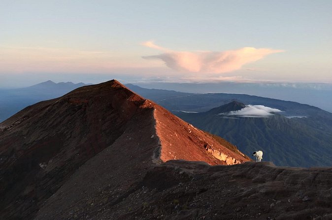 Mount Batur Sunrise Trekking, Hot Springs & Lunch at Restaurant - Who should book this experience