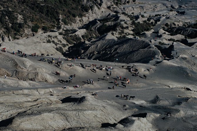 Mount Bromo Public Sunrise Tour - From Malang - Crossing the sea of sand to Bromo crater