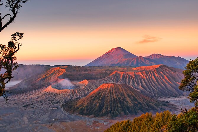 Mount Bromo Sunrise – Exclusive Guided Tour (All-Inclusive) - Coffee and Cold Air Near Penanjakan