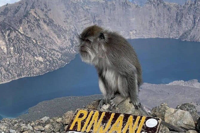 Mount Rinjani 2D 1N trekking to summit - The 2:00 AM summit push