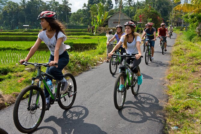 Mountain Cycling Tour - Why this cycling trip works for a first day in Bali