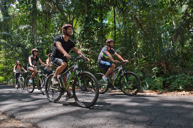 Mountain Cycling Tour - Fruit, spices, temples, and everyday Bali