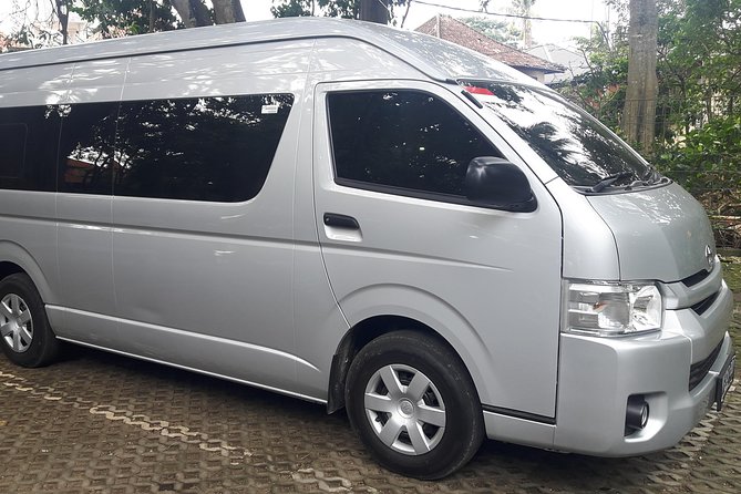 Ngurah Rai International Airport Private Arrival Transfer - The most important booking detail: accurate arrival information