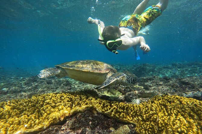 No:#1. Penida Island Tour And Snorkeling With Manta - The snorkeling route: up to four possible sites