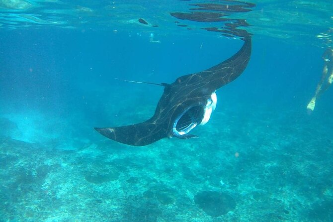 No:#1. Penida Island Tour And Snorkeling With Manta - Indonesian lunch and the value of an all-day package