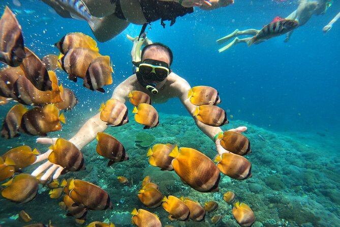 No:#1. Penida Island Tour And Snorkeling With Manta - The main drawbacks to weigh carefully
