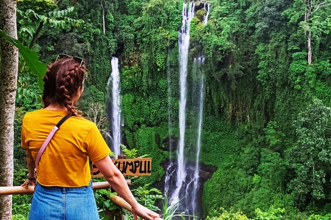 North Bali: Sekumpul Waterfalls and Ulun Danu Temple Tour - Transport, timing, and the reality of a 10 hour day