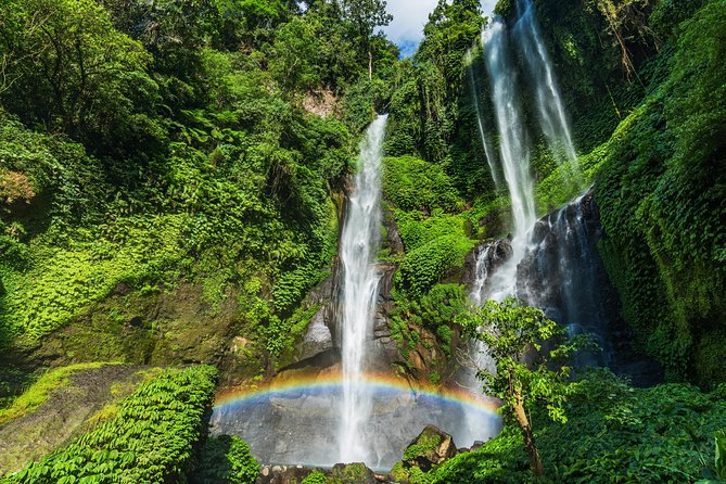 North Bali: Sekumpul Waterfalls and Ulun Danu Temple Tour - Small group or private tour?