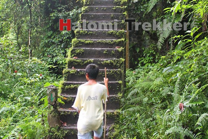 North Lombok Waterfalls - Tiu Kelep and the forest walk