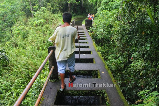 North Lombok Waterfalls - Choosing transport from Bangsal, Senggigi, or Mataram