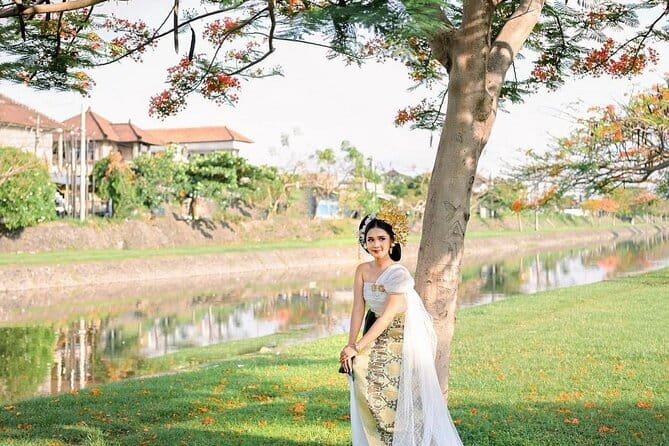 Northern Bali Highlights + Unesco Scenic Heritage Rice Terrace. - Private transport and the driver-guide difference