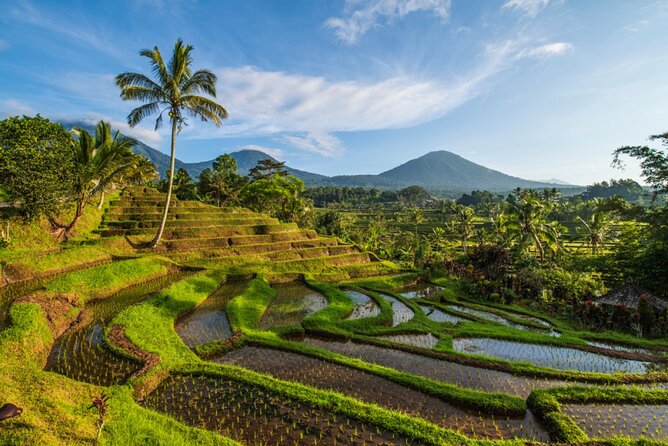 Northern Bali Tour - Private Full Day Tour - All Inclusive - Why this northern Bali route works