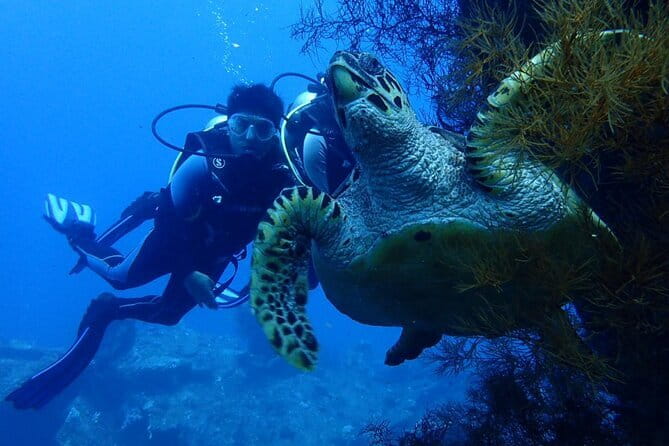 Nusa Dua Marine Jet Ski and Parasailing Adventure with Hotel Pick up - Is $53.85 good value for 45 minutes?