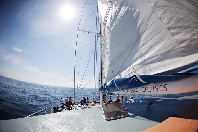 Nusa Lembongan: Island Discovery Cruise - What $64 Really Buys You