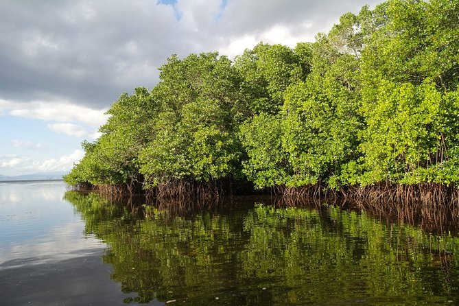 Nusa Lembongan Island: Snorkeling & Mangrove Forest Day Tour - Snorkeling over Nusa Lembongan’s coral reef