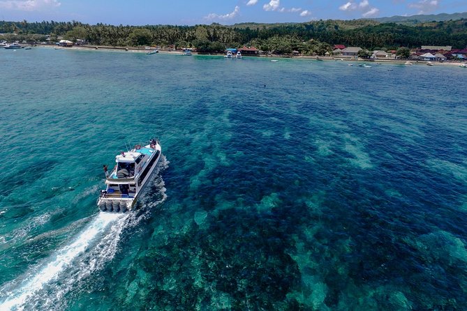 Nusa Lembongan Island: Snorkeling & Mangrove Forest Day Tour - A quieter change of pace in the mangrove forest