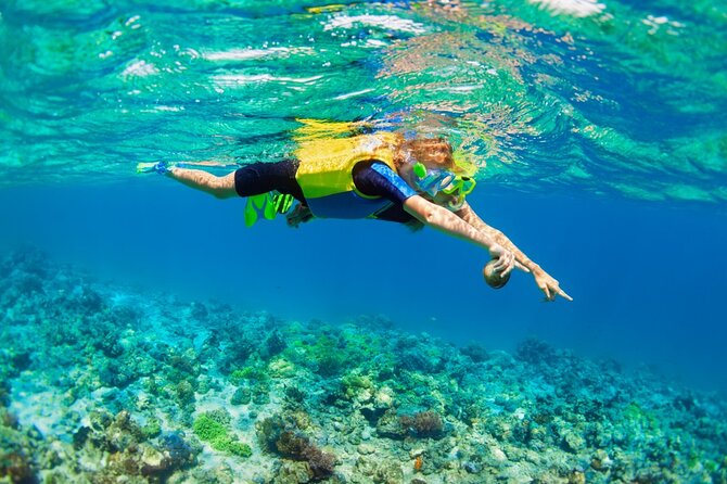 Nusa Lembongan Island: Snorkeling & Mangrove Forest Day Tour - The early pickup and 30 to 40 minute speedboat ride