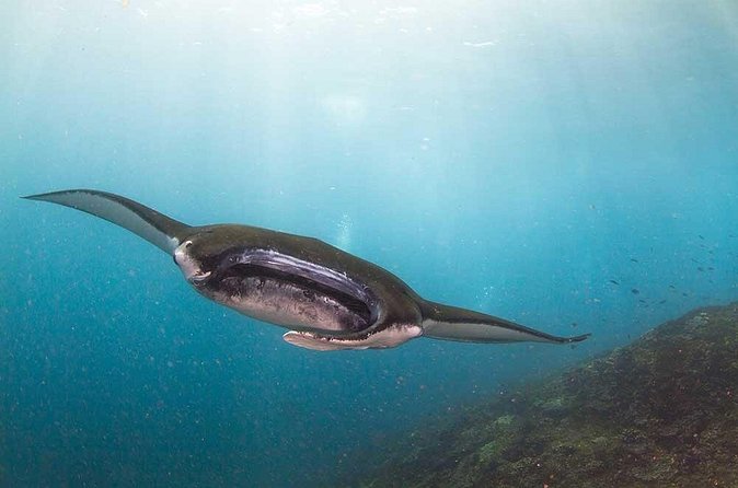 Nusa Penida 3 Fun Dives Boat Trip (For Certified Divers) - Equipment, instructors, and the small-group advantage