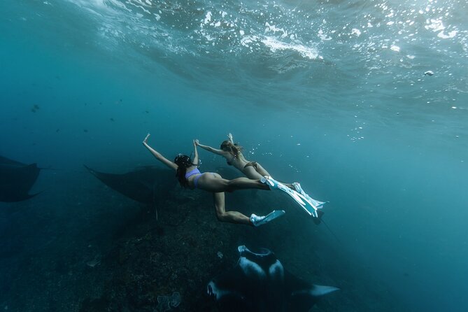 ️Nusa Penida by Private Boat - Snorkeling 4 spots, Swim with Mantas + Land Tour - Key details before you book