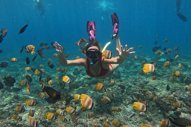 ️Nusa Penida by Private Boat - Snorkeling 4 spots, Swim with Mantas + Land Tour - Starting at Serangan with coffee and a speedboat