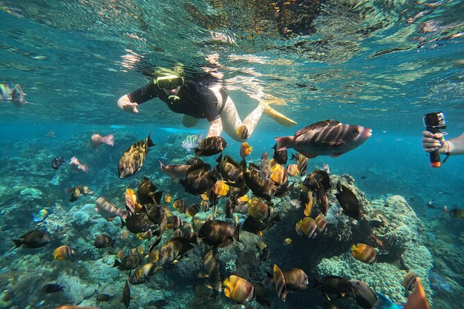 Nusa-Penida customize Tour - All inclusive - What the roads and vehicles are like