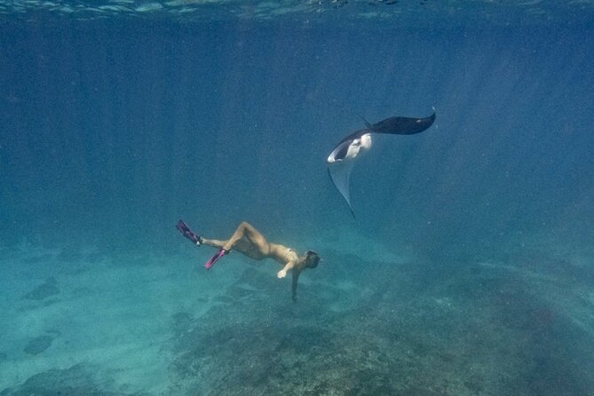 Nusa Penida day trip: boat, 4 snorkeling, Manta rays & Land tour - Why this Nusa Penida day trip works well