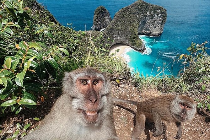 Nusa Penida day trip: boat, 4 snorkeling, Manta rays & Land tour - Boat comfort, safety, and physical demands