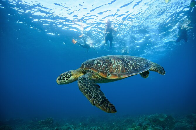 Nusa Penida day trip: boat, 4 snorkeling, Manta rays & Land tour - What the $78 price really includes