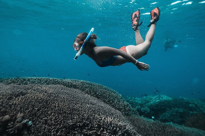 Nusa Penida day trip: boat, 4 snorkeling, Manta rays & Land tour - Meeting in Sanur before the fast boat