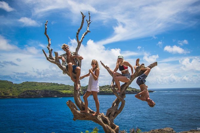 Nusa Penida Instagram Tour: Legendary Spots (Private & All-Inclusive) - Kelingking Beach and the famous T-Rex cliff